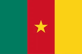 Flag 4